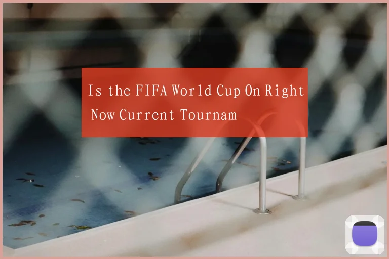 Is the FIFA World Cup On Right Now Current Tournam