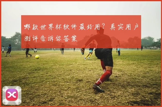 哪款世界杯软件最好用？真实用户测评告诉你答案
