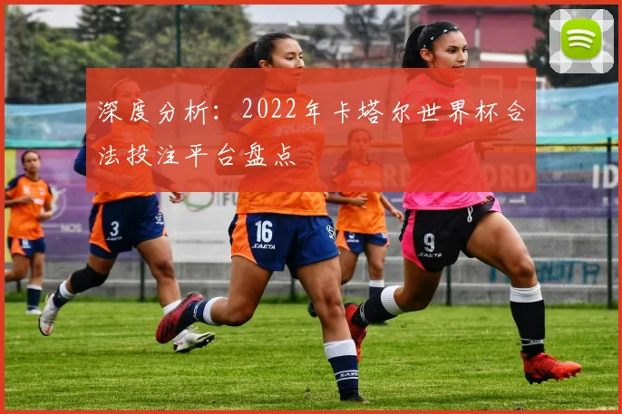 深度分析:2022年卡塔尔世界杯合法投注平台盘点