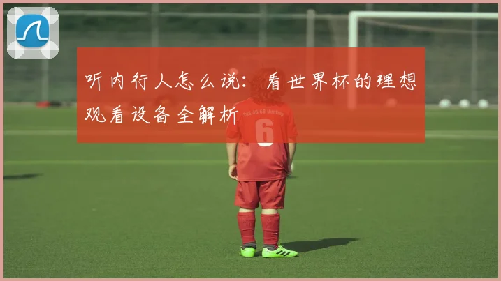 听内行人怎么说：看世界杯的理想观看设备全解析